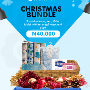 Christmas/New year Gift Bundle 04 | Flannel, Milton, Wipes and More